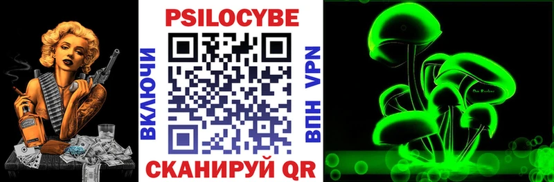 Псилоцибиновые грибы мицелий  купить наркотик  Владивосток 